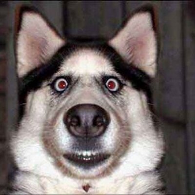 CougarDychen's profile image