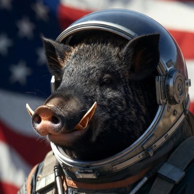 TheRingCrypto's profile picture. Teacher, Coach, Husband, Traveller, Investor, The Ring Crypto Group (AKA “The Twelve”)