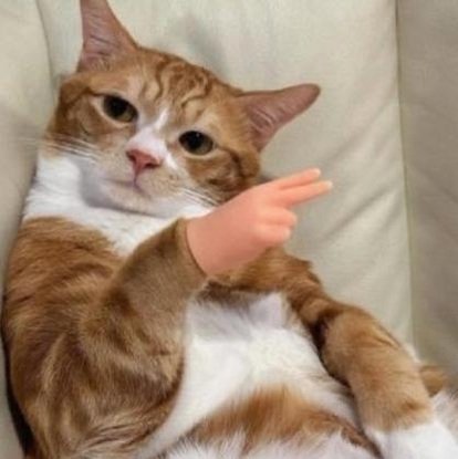 crisbodog's profile picture. 