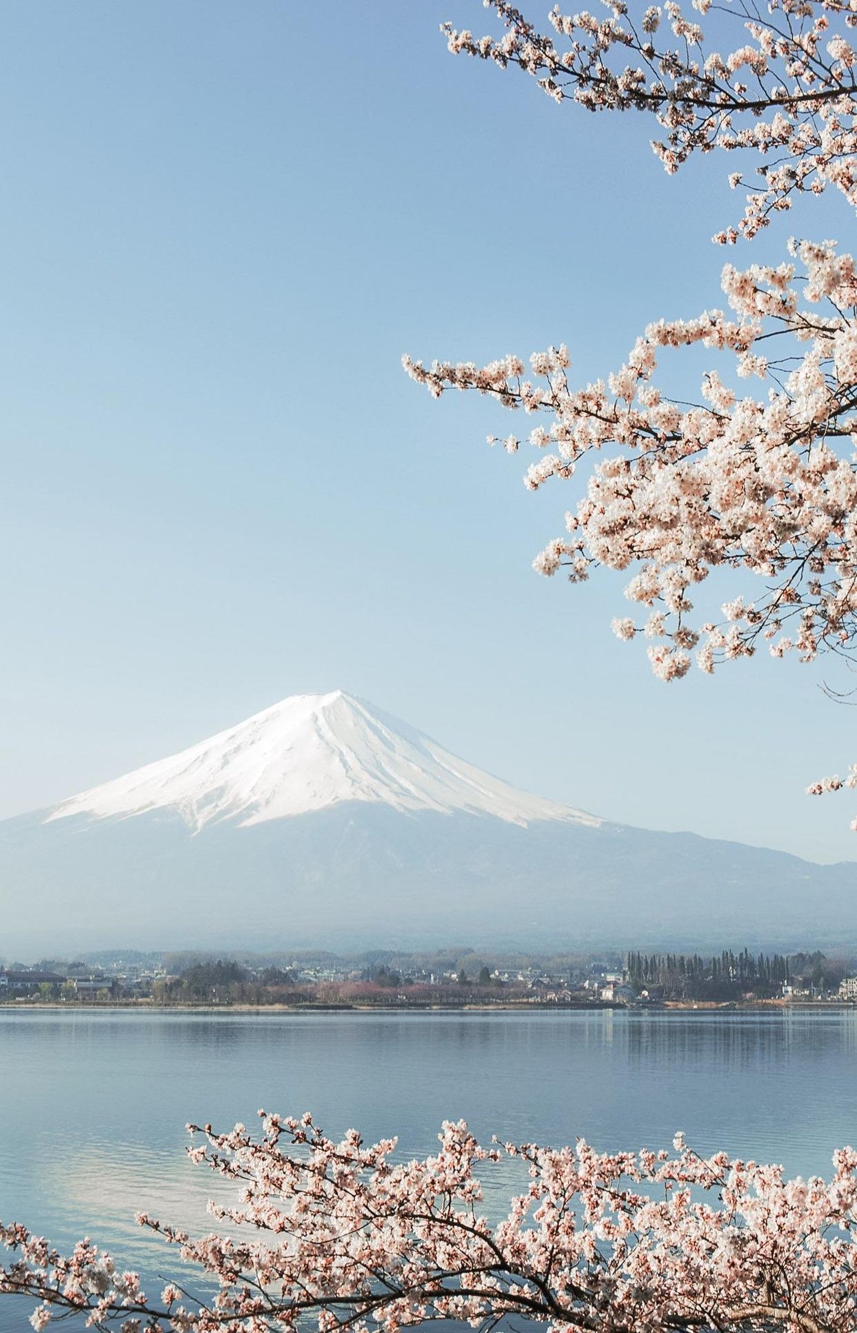 lesaulnier6's profile picture. 