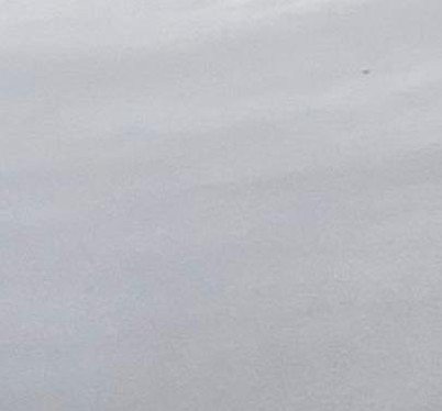 vlovec's profile picture. 