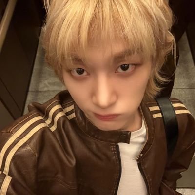 bonedotan's profile picture. 아포방포