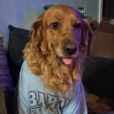 OttoCarolinamav's profile picture. Animal Rescuer---Emergency Medical Technician (Retired) Proud Supporter of Law Enforcement-Firefighters & EMS-Mom to 3 German Shepherds & 5 others