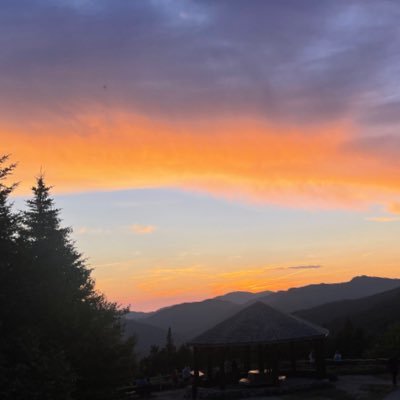 needfanstbh's profile picture. 