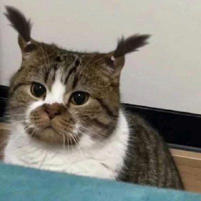 Peytonjuanita's profile picture. Aquí no robo tuits