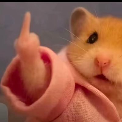 cinturafina242's profile picture. Esaïe 41:10🙏🏽 🕊Marc 5:36🕊