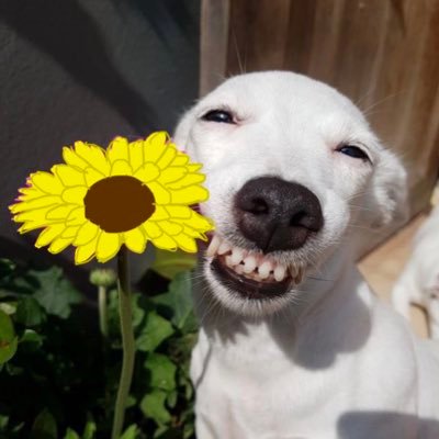 qldzl_22's profile picture. 