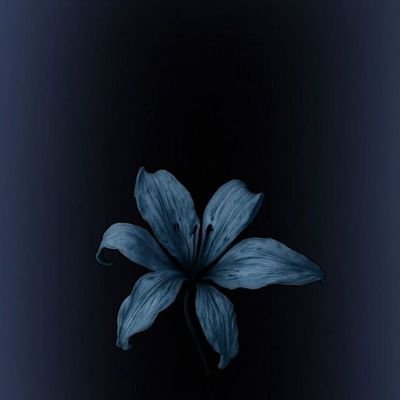 algim_6's profile picture. كُلُّ مَنْ عَلَيْهَا فَانٍ}

 نرحل جميعا ويبقى الأثر، فاختر أثرًا طيبا لا ينسى
 اللهم اجعلنا من الذين يذكرون بالخير