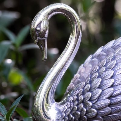 CryptoCat589's profile picture. Truth Seeker, Entrepreneur, 🇺🇸 Freedom & World Peace Advocate 🇺🇸 ❤️