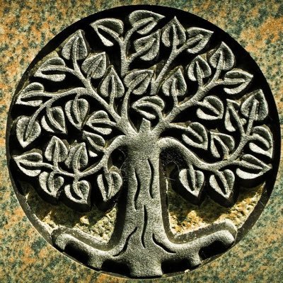 MVS2017's profile picture. 