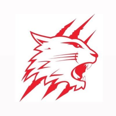 WildcatsNIHL2's profile picture. The Official Account of Swindon Wildcats 2 Ice Hockey Team. NIHL Division 1 League