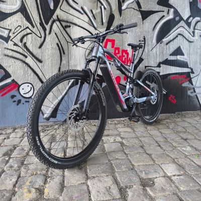 wolle8695023373's profile picture. 