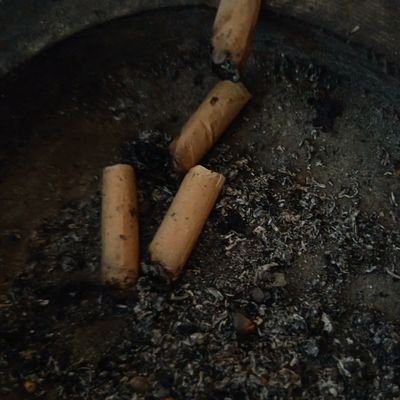 Tellmeanythinh's profile picture. 