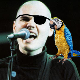 pirate_billy Profile Picture