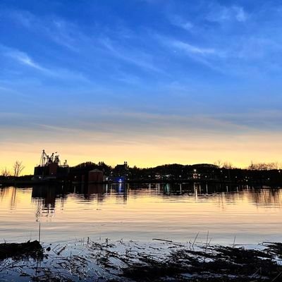 sheeshhmu's profile picture. I retire