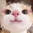 Nlynn_sora's profile image