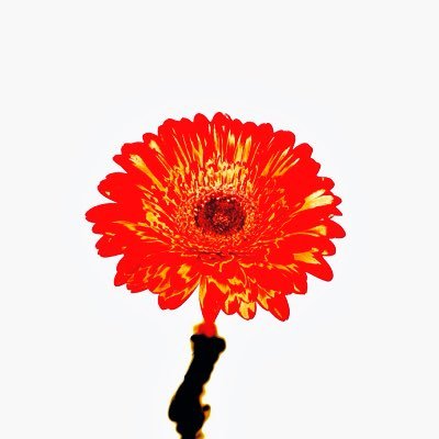 Joseph_khamis_'s profile picture. 