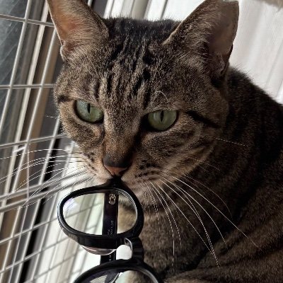 熊谷杯人☆巻きシッポ帝国