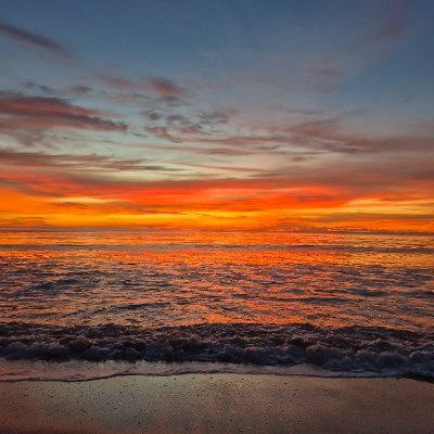 Cannywhackit55's profile picture. Applepine drinker timplosion lover Glasgow Rangers lover SNP hater woke hater there are only 2 genders. Reform UK is the only way to stop the rot of society.