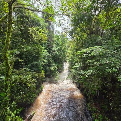 CesarMe22483163's profile picture. 