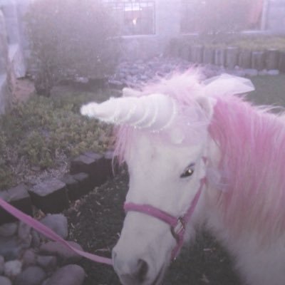 gllitterbunnie's profile picture. ‘shedtwt •. 4teen ♡ ..• ♀‍ ⠀⠀⠀⠀⠀⠀⠀⠀⠀⠀⠀⠀⠀ ⠀⠀⠀⠀ ⠀ ⋆ೀ no dni⠀⠀⠀•⠀⠀⠀mbti ꩜ intp ⠀⠀⠀⠀⠀⠀⠀⠀ ⠀ ⠀⠀⠀ ⠀ ꕥ cw 50kg • gw 45kg • ugw 40kg .’