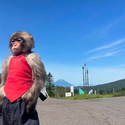 timmy_lawal's profile picture. Web3 Enthusiast¡¡ RTs aren't endorsement