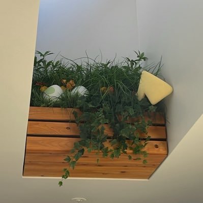 kakuteiganbaru's profile picture. 115回