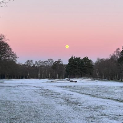 JoshPepper1's profile picture. NFFC, You Reds!! , Notts CCC, Panthers, Live Music, Great Whisky, Talk sport. positive vibes.