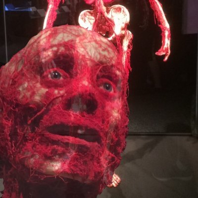 MorayTime's profile picture. She/Her, They/Them

Commissions Open, Dm For More Info
https://t.co/zdsPIH5D3r
https://t.co/k3XCNB9DIV

RedBubble store: MorayTime