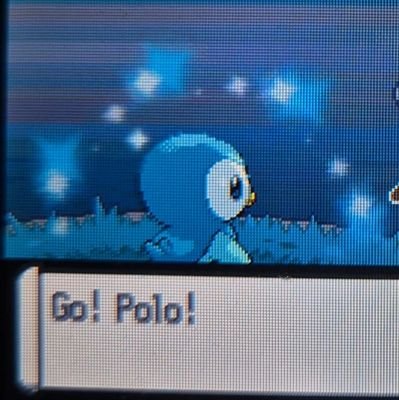 Prohjectiles's profile picture. Shiny Hunter ✨️ | XrS Forever 🪓