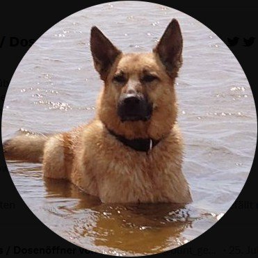 Dosenöffner von Justin / privat 