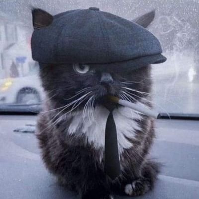 kaptenajun's profile picture. 