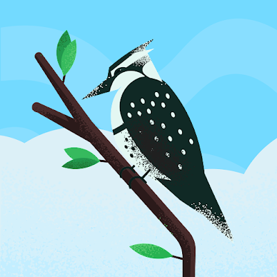 aM635zWwWp29758's profile picture. 