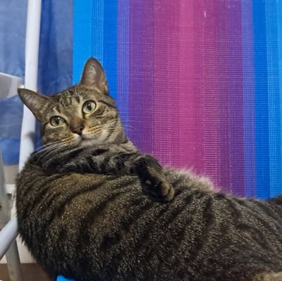 lilidefgirl's profile picture. 