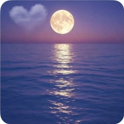 もも（一期一会🎻）（29ちゃいｳｿ今年で86ちゃいっ）