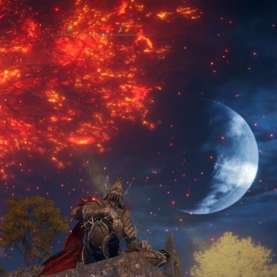 Simone_qa's profile picture. 