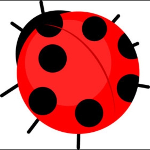 mokeke3000's profile picture. @mokeke105 と同じ人でーす