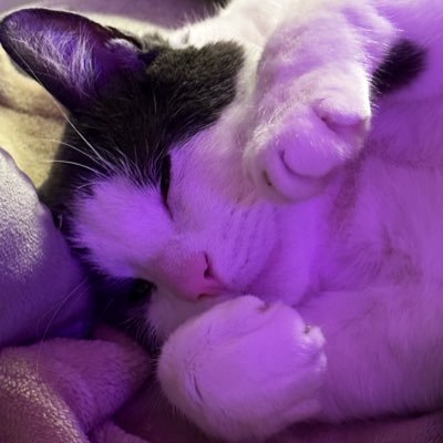 dallduch's profile picture. bachelière en psychologie. allergique aux fakenews et au capitalisme. passionnée de psychologie , de plantes et de tout plein d’autres choses.  AU PLAISIR