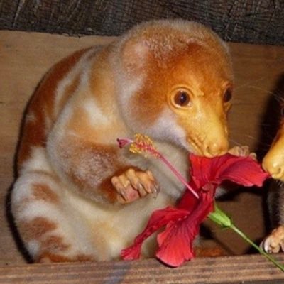 cesadilleus's profile picture. #deanwinchesterwearspanties | any/mirror, butch, weird and offputting: but in the fun way! | priv @sold1erdyke