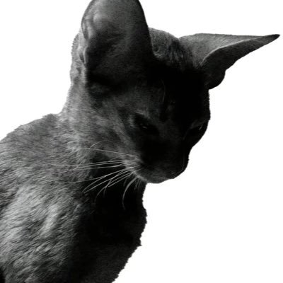 Vlinder.