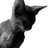 Vlinder4420's profile image