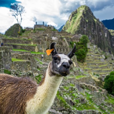 elnicho593's profile picture. Curioso tecnologico, Padre enamorado, 🐶 x3 👨‍👩‍👧‍👦x1 🇪🇨 🇺🇸 Pro🌿 ⚽️=❤️. Keep your friends close, and your enemies closer