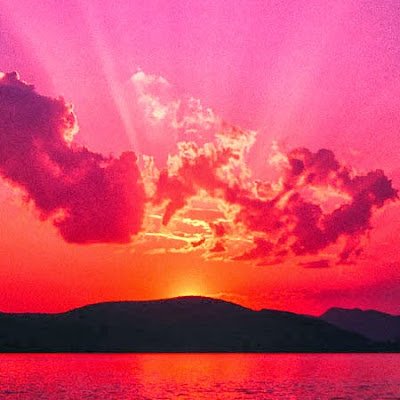 ong_hai51383's profile picture. 