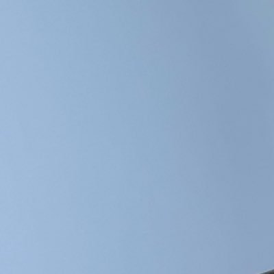 aloemarina's profile picture. 