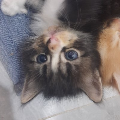 nansdaily's profile picture. 