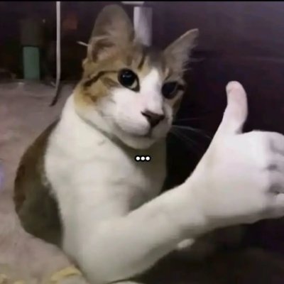 DRETOUREE's profile picture. 