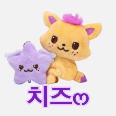 치즈(chizu)✩.*˚