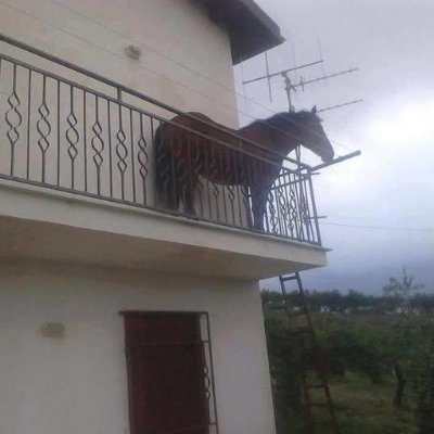 usd1juan's profile picture. USDjuan.

6EMRiLPogVSR7RbkwD747dSfA7RA6rNt7cDtYJeTbonk