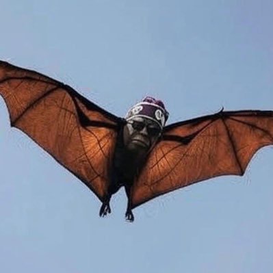 EzeOmeOgo001's profile picture. 