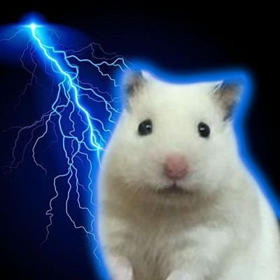 penguinbutch's profile picture. sou eu mesmo